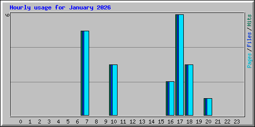 Hourly usage for January 2026